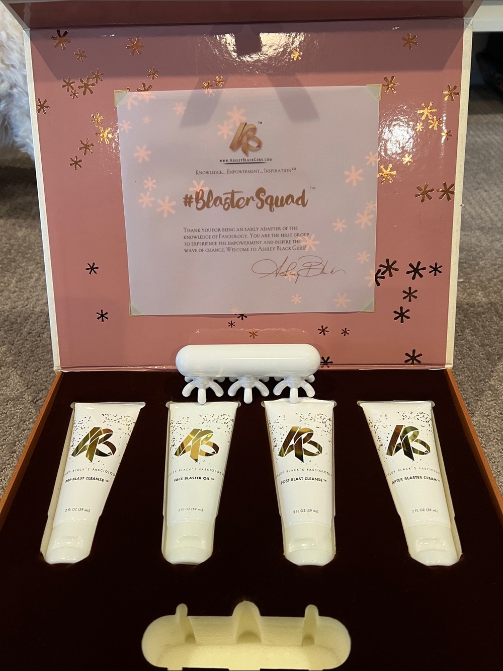 Ashley Black mini fascia blaster bundle